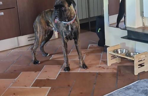 C è posto per te PETFRIENDLY - Foto 5