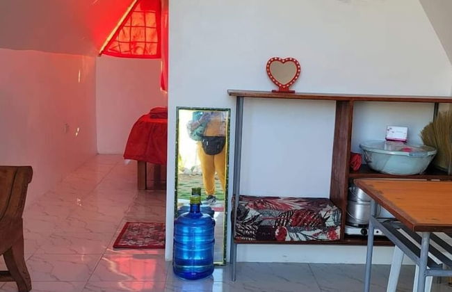 Live N Love - Photo 5