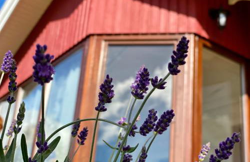 Ferienhaus“Wieden am See“ - Foto 5