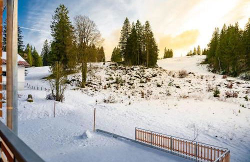 Ferienwohnung Feldberg Schwarzwald - Foto 4