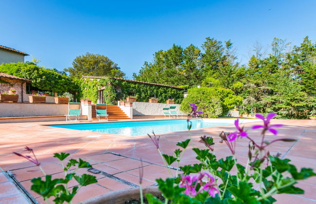 Bardeggiano - Caterina 3 (COL246) - Foto 51