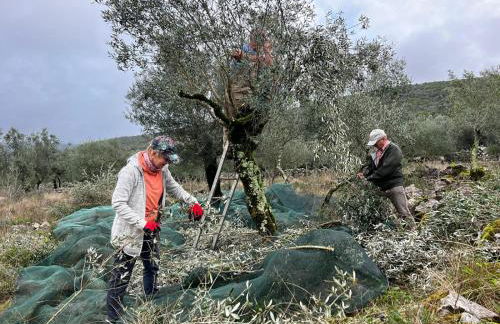 Casa da Curva - Foto 61