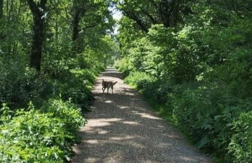 Dubarry Downs Annexe – Hot Tub, Isle of Wight - Foto 15