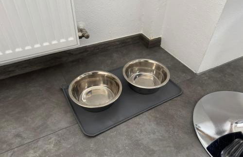 Ferienwohnung am See Dillich - Eigener eingezäunter Garten - Ruhige Lage - Hunde willkommen - Natur vor der Haustür - Foto 22