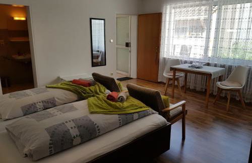 Gartenstudio Anila - Foto 8