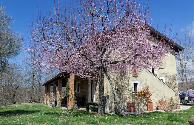La Rosa Nel Bicchiere - Foto 62