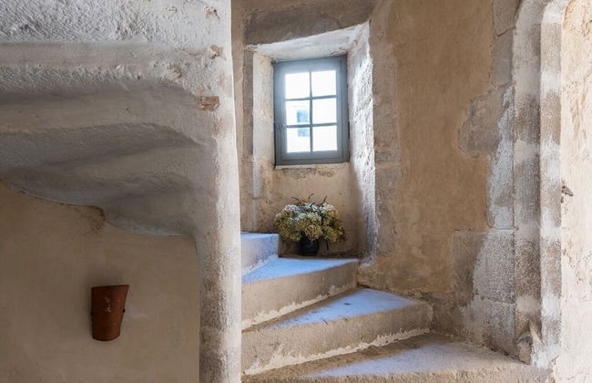 Château des Marcilly Talaru - Foto 32