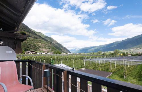 Bauernhof Sackgut - Foto 23