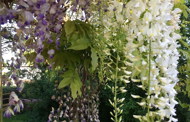 Agriturismo SetteLune - Foto 22