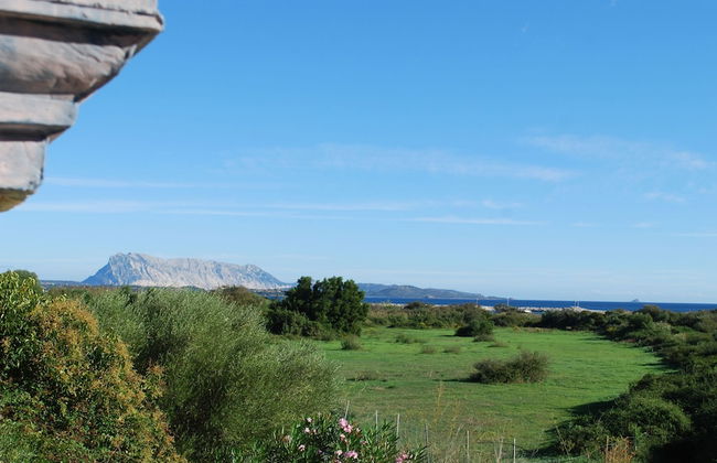 Residence Oasi e Oasi Blu - Photo 50