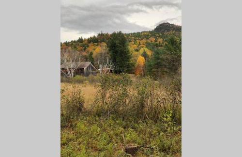 Beaver Brook Chalet - Foto 30