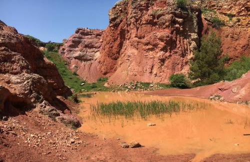 Patanella Wine - Foto 17