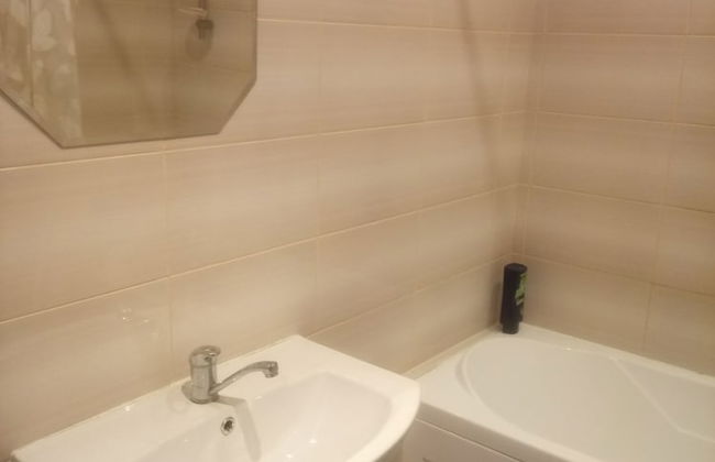 Pretty Apartment on Vokzalnaya 51A - Photo 9