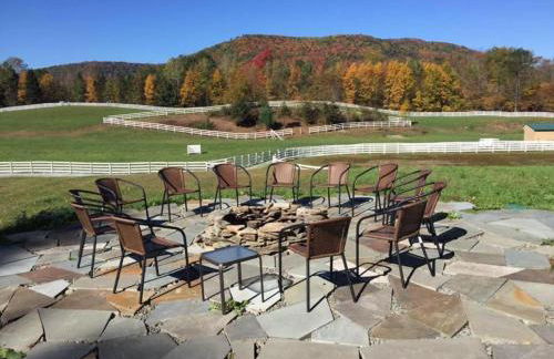 Fantastic Secluded Rental for a Large Group Getaway near East Branch, New York - Photo 55