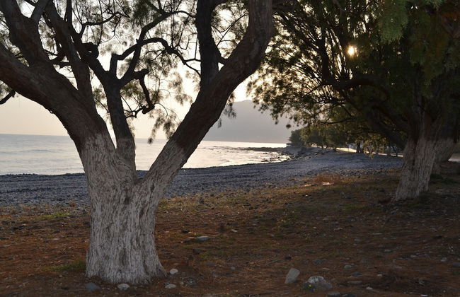 Villa Elena - Photo 32