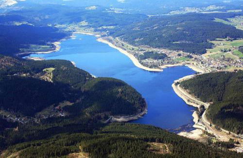 Kurhotel Schluchsee Apartment 1207 - Photo 26