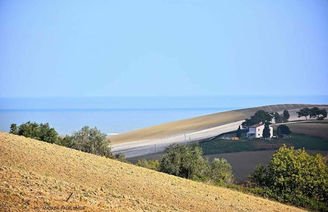 Villa Clair - Villa Clair - Photo 63