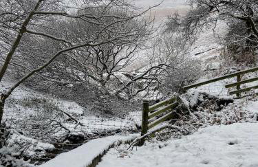 3 Millbeck Cottage - Photo 35