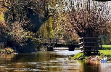Lovely 2 Bed Victorian Cottage, Denford NN14 - Photo 25