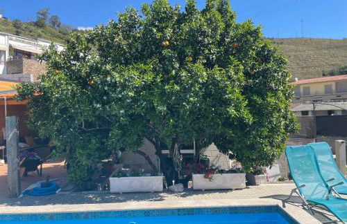 Suite Nunes - Foto 38