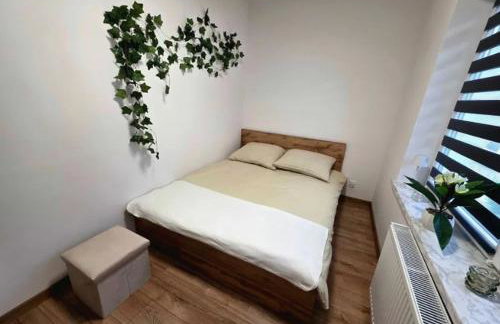 Mazury Apartament Nad Drwęcą - Foto 8