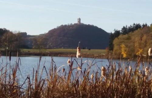 Ferienwohnung Reuter - Foto 11