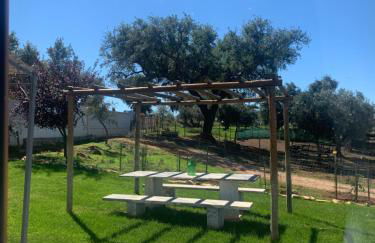 Herdade Da Maridona - Agroturismo - Foto 16
