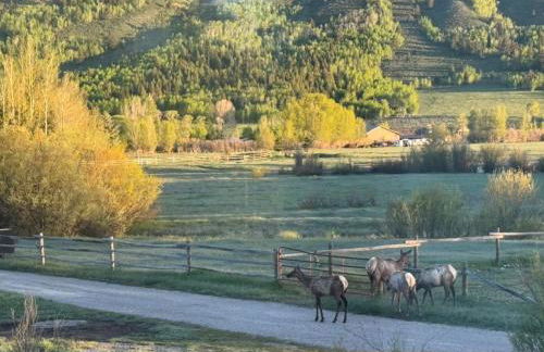 Secluded Mountain View Getaway - Near Jackson Hole - BBQ, Patio Wildlife! - Foto 9