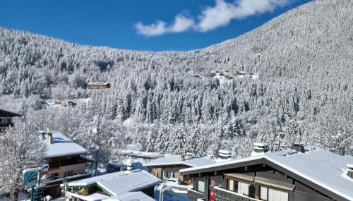 Refuge des Alpages - Duplex - Vue Aiguillette des Houches - Foto 3