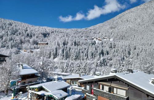 Refuge des Alpages - Duplex - Vue Aiguillette des Houches - Foto 3