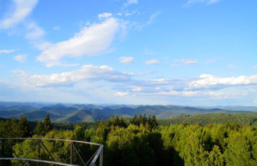 Le Gîte de l'Ecureuil - Foto 62