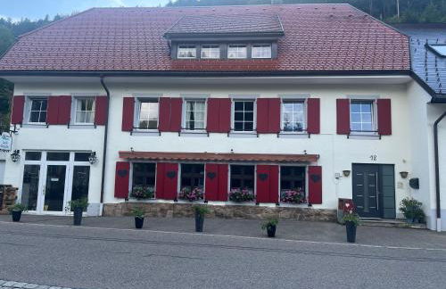 Sky view, Forest Apartments Menzenschwand - Foto 13