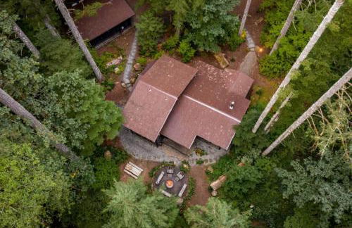 Tamanawas Cabin - Foto 48