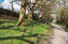 The Dovecote - Foto 15