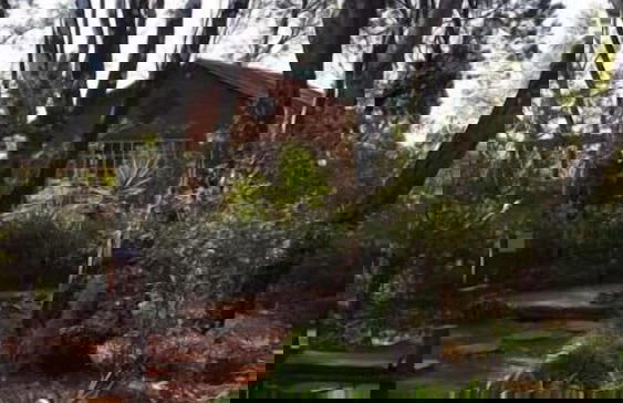 Woodland Gardens - Photo 66