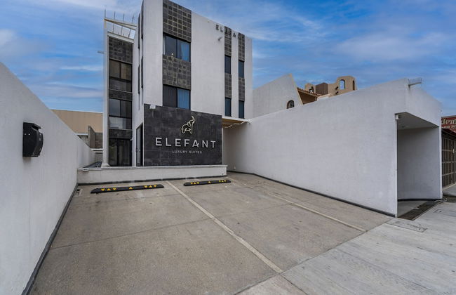 Elefant by Naya Homes - Foto 34