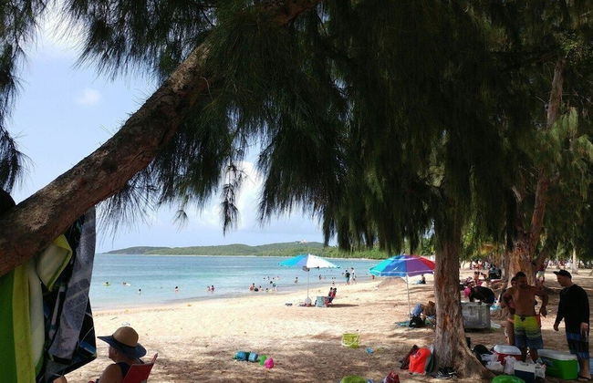 Beachfront Studios - Photo 69