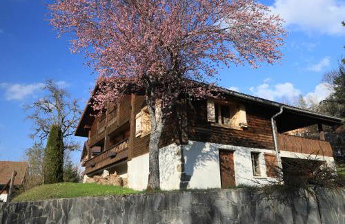 Sous les Ecotagnes - Foto 12