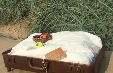 Ocean Drive Deluxe Apartment with complimentary Day Time Beach hut - Foto 60