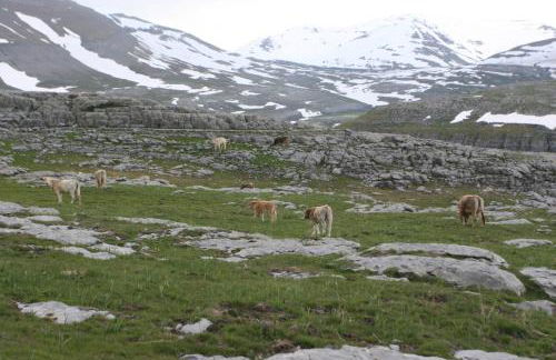 Apartamentos Casa Aneta - Photo 41