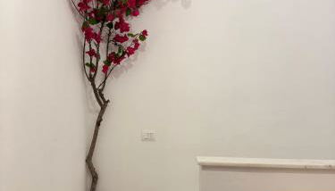 La Casetta dell'Architetto - Foto 5