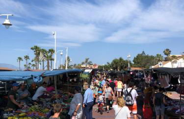 Aunt Antonia Beach House - Photo 47