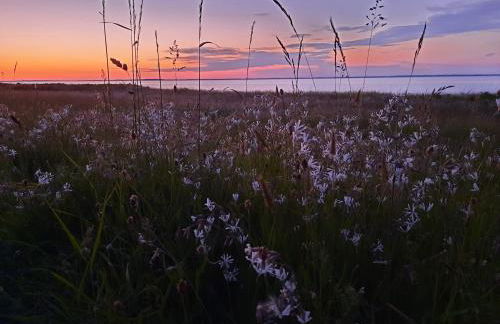 Wormshöft 16 - Foto 47