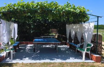 Apartments Davor - Photo 28