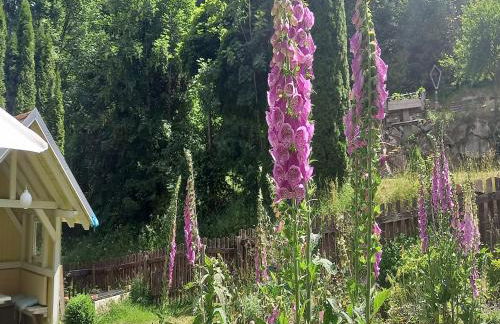 Forsthauswohnung im Schwarzwald - Foto 18