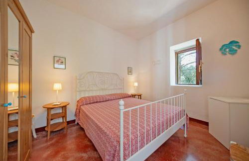 Torre Casciani - Foto 158