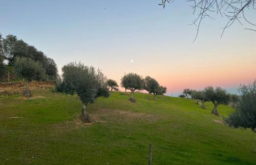 Montado Village - Foto 29