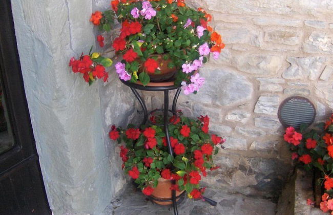 L'Angolo di Verlano - Foto 50