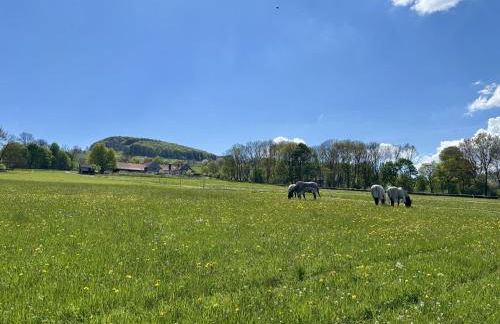 Weiherhof - Photo 27