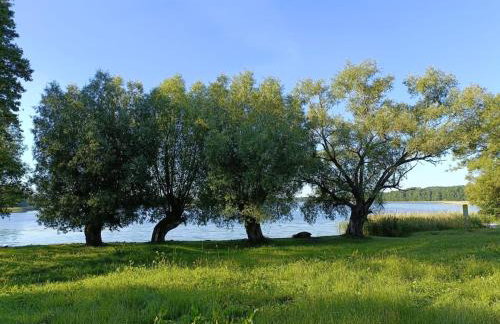 Mazurski Domek Papy Smerfa plaża pomost jezioro prywatny staw gospodarstwo pasieka - Foto 31